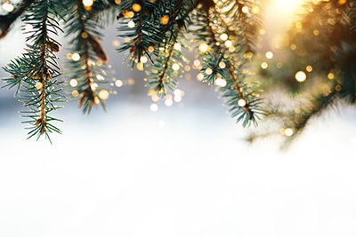 Tree Limbs with Lights - Guide to Solar Powered Cchristmas Lights